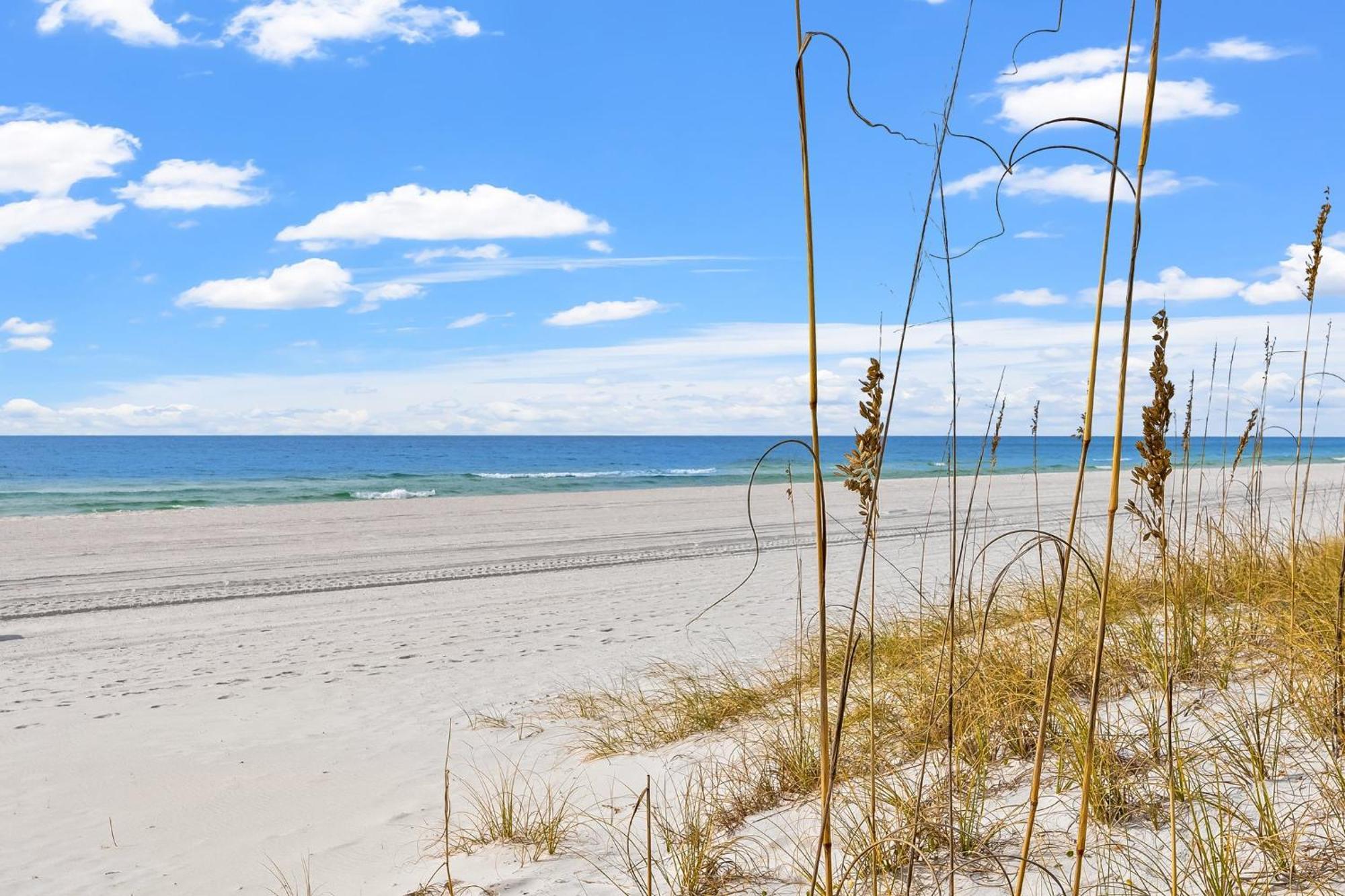 Apartmán Treasure Island 1607 Panama City Beach Exteriér fotografie